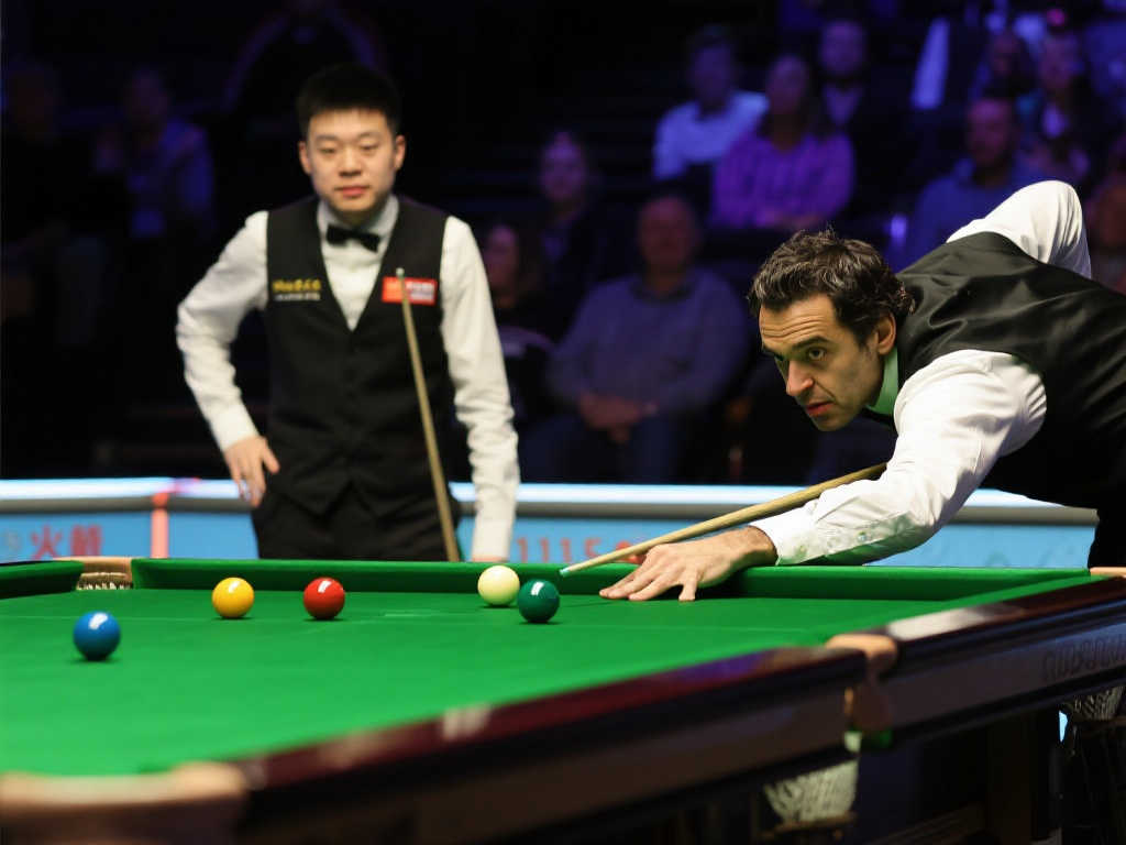 网的案例 网的案例